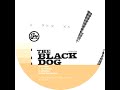 The Black Dog - Set to Receive