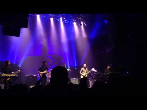 Phantom Limb