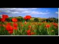 videos de tuscanytours