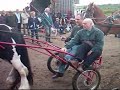 Seagreaves Horse Trot May 2003