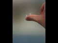 See Video