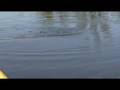Kayak Fishing Tales: Matlacha
