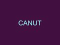 Canut Montana 2003 chicago