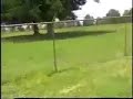 Reporter Goes Insane After Accidentally Swallowing a Fly