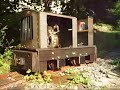 Feldbahn, Garden Railway 10.25\" Gauge (5)