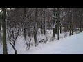Winterlicher Schlosspark