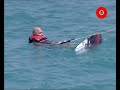 TAREK AZIZ Travel Show Otv (Relax & Wakeboard) El Gouna TAREK AZIZ Travel Show Otv (Relax & Wakeboard) El Gouna