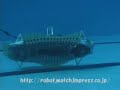 Squid Robot Squid Robot