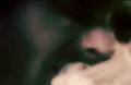 The-National-Live-Pa