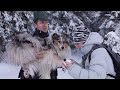 Slovak paradise - winter trip with collies