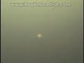 Scott Stevens - Devils Captain fishing for Musky