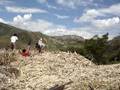 Saltando en un cañaveral xD