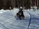 2007 Fur Rondy Championship in Anchorage, AK