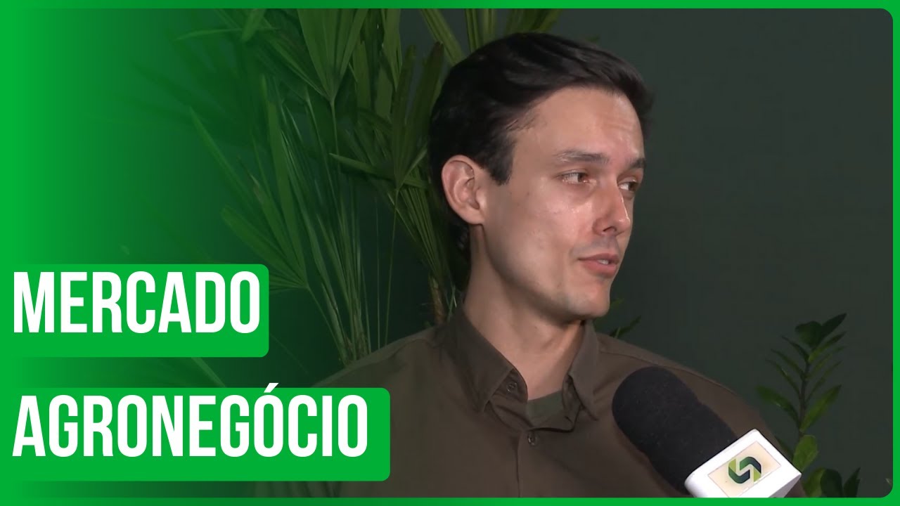 Mercado do agronegócio deve melhorar