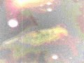Pond Fish 2 Pond Fish 2