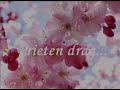 Pompilia Stoian-Prieten drag