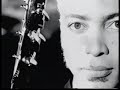 Vibrator - Sananda Maitreya