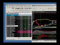 Metatrader & eSignal Bridge EXPLAINED Metatrader & eSignal Bridge EXPLAINED