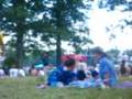 The Bonnaroo Experience