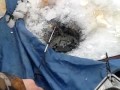 курган фион рыбаков курган фион рыбаков