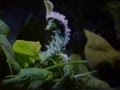 K�resel Is�nma   An Inconvenient Truth    Global Warning