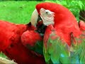 Caldwell Zoo Part I of II Caldwell Zoo Part I of II