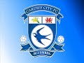1  peter enckelman  goalkeeper  
2  kevin mcnaughton  defender  
3  tony capaldi  midfielder  
4  gavin rae  midfielder  
5  darren purse  defender  
6  glenn loovens  defender  
7  peter whittingham  midfielder  
8  jay bothroyd  striker  
10  stephen mcphail  midfielder  
11  paul parry  midfielder  
12  roger johnson  defender  
13  tom heaton  goalkeeper  
15  miguel comminges  defender  
16  joe ledley  midfielder  
17  darren dennehy  defender  
19  riccardo scimeca  midfielder  
20  steven thompson  striker  
21  mark kennedy  midfielder  
23  darcy blake  midfielder  
26  jonathan brown  striker  
44  ross mccormack  striker  
 willo flood midfielder
dave jones fa cup