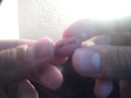 (uploaded by casagor)&nbsp;BEAN MAGIC
