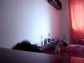 videos de O espancamento de Joana Azevedo