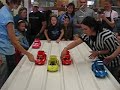 honeybear at the hamster race 2