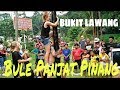 Ngakak! Bule Panjat Pinang 17 Agustus 2017 Di Bukit Lawang