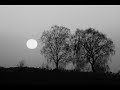 Prawda.wmv