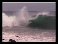 videos Surf