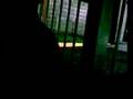 Eye of tiger - A capella (Alta version)