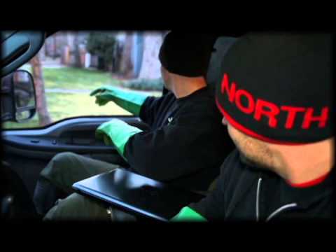 how to fertilize buffalo grass