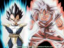 vegeta tribute