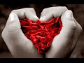 Amor e Saudade