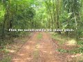 Stop Deforestation ad 1