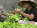 黑手幫風信子精障協會作的ＣＦ配樂