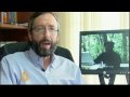 Farc rebels 'funded' Ecuador election - 18 Jul 09