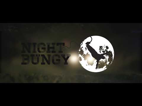 Night Jumps