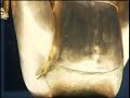 Kate Moss Sculpted From Gold