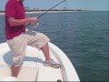 Attitudefishing.com