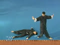 Fighting of Taichi Masters Fighting of Taichi Masters