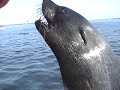 Walvis Bay