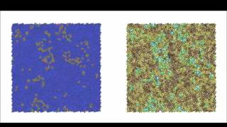 The shape of melting in two dimensions