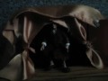 The Hobbit Christmas Carol-Part 3.wmv
