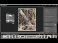 TTG Viewport Sizer