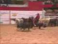 2006 NCHA Futurity Open champion