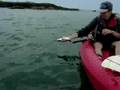 Beau bazar en kayak